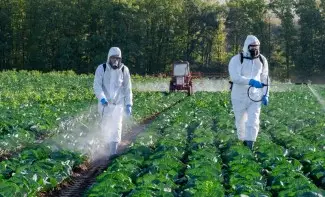 Pesticides